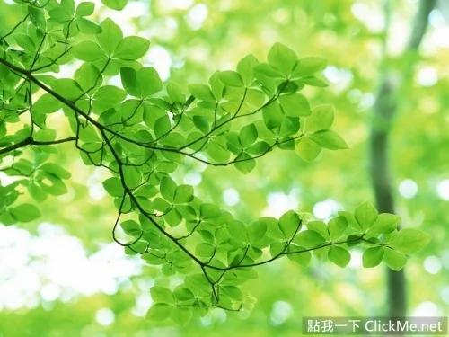 眼睛疲劳吗?教你缓解“电脑眼”的小妙招!