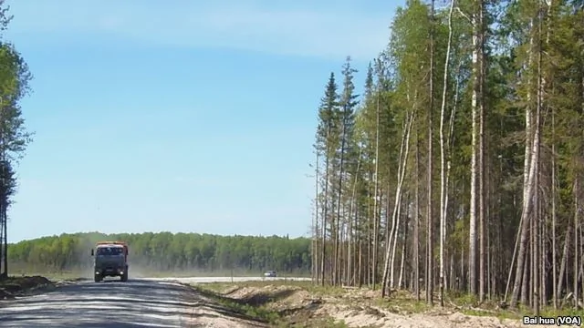 西伯利亞北部漢特-曼西斯克地區一處油井旁的道路。(美國之音白樺拍攝)