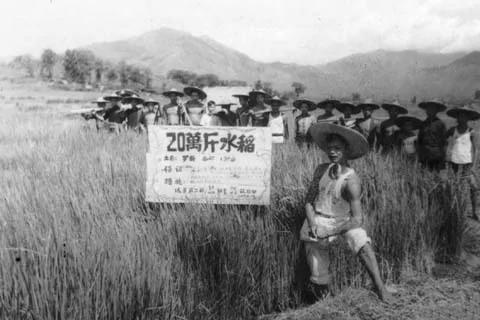 宋永毅:“大跃进”是如何推动的?政治运动造就的恐惧和造假风