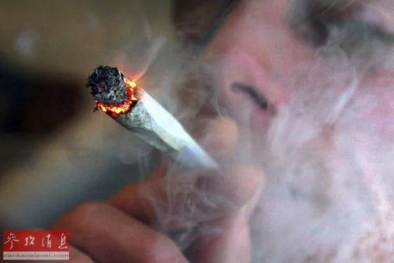 关于大麻你不知道的22件事:可能有抗癌效果