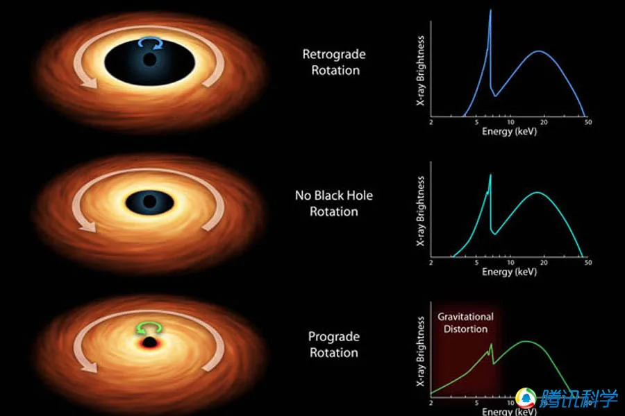 天文学家发现黑洞“吃掉”恒星的证据(组图)