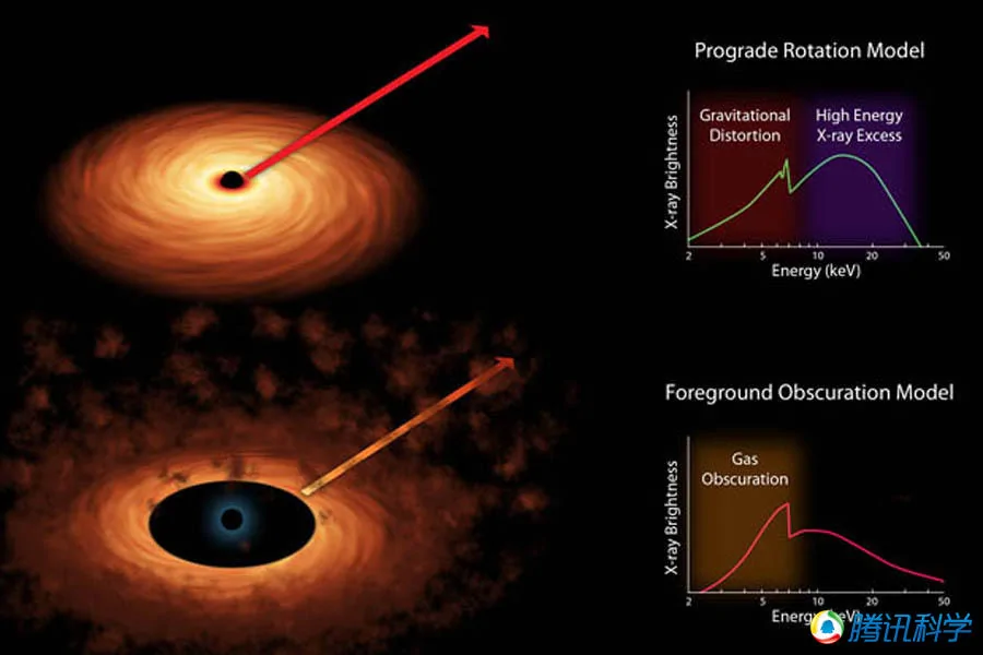 天文學家發現黑洞「吃掉」恆星的證據(組圖)