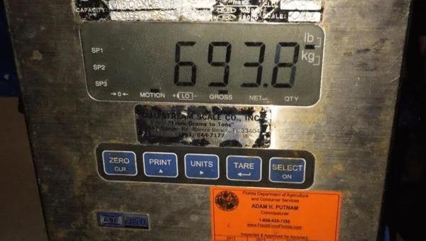 美国17岁少年捕捉314公斤巨型剑鱼