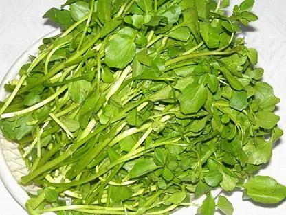 多吃这些救命菜