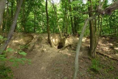 小矮人非传说 欧洲发现地下上千条隧道