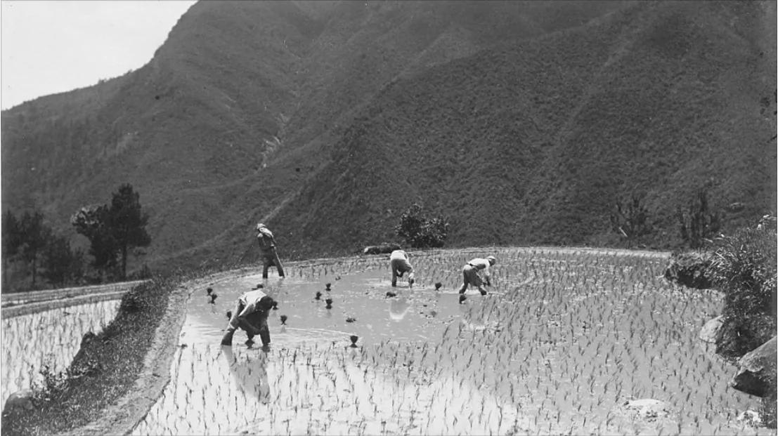 找寻老照片,找寻中国的过去
