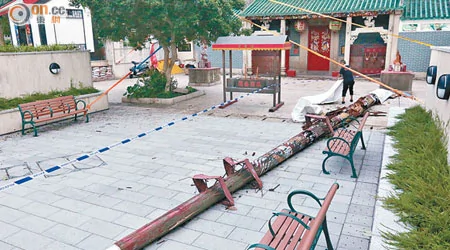 被称为定海神针的鸭脷洲洪圣古庙龙柱倒下，令人担心香港危危乎。（夏国威摄）