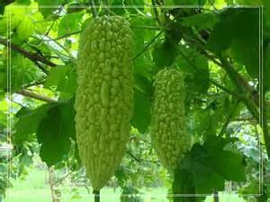 深秋七大蔬菜补肾又强心