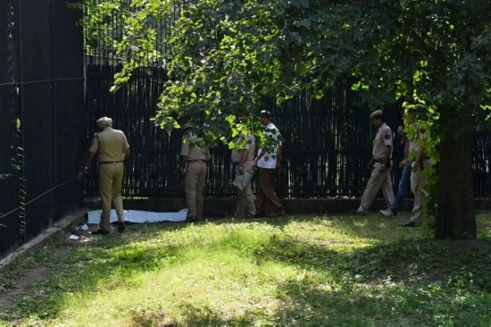 毛骨悚然！印度男子动物园被老虎咬死前求饶
