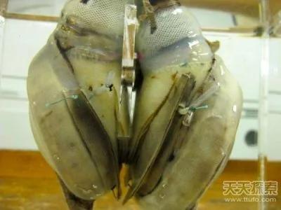 史上最令人震惊的十大未解之谜