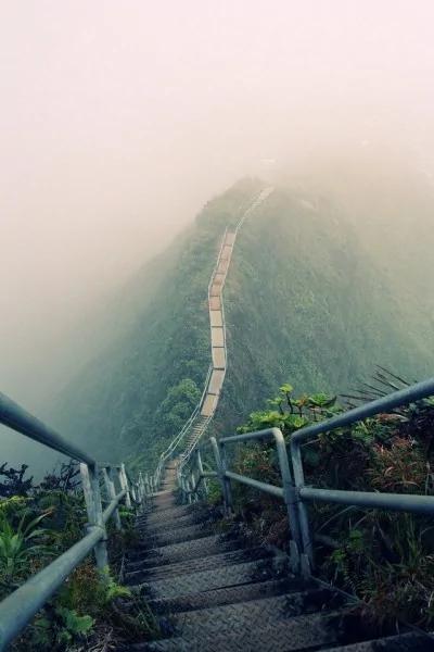 盘点全球最恐怖阶梯 华山登山阶梯上榜