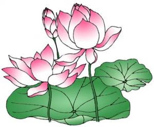 积善之家必有余庆