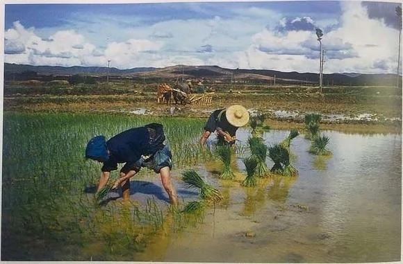 21张美国飞虎队拍摄的珍贵老照片:1949年前中国有多美!看完好想哭