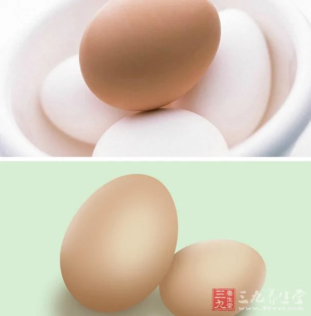 雞蛋補充多元營養