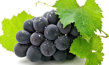 秋季吃葡萄的神奇好處