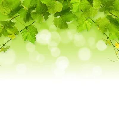 做官不讲理 惹来灾祸