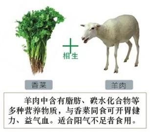 食物相生相克一览表,建议你一定收藏,千百万人都在寻找这张表!