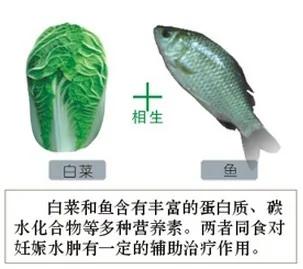 食物相生相克一览表,建议你一定收藏,千百万人都在寻找这张表!