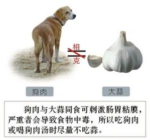 食物相生相克一览表,建议你一定收藏,千百万人都在寻找这张表!