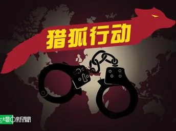中国猎狐行动境外抓捕外逃贪官100天逮回180人中文网络照片 DR