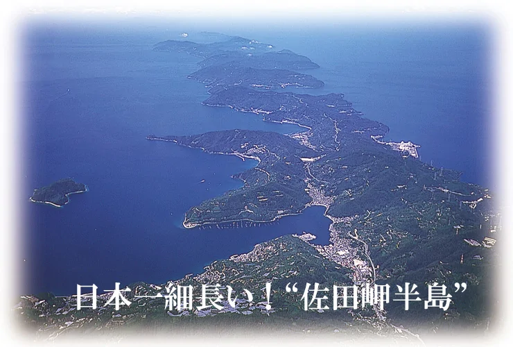 佐田岬半島