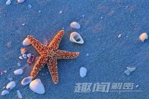 自然界中让人意想不到的十大杀手