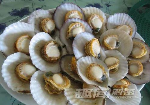 自然界中让人意想不到的十大杀手