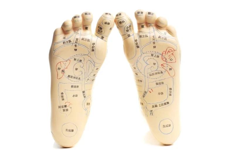 五脏庙是阴庙还是阳庙?