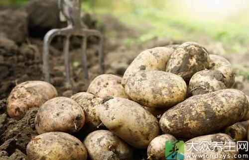 小心了!十种没煮熟蔬菜 比砒霜毒