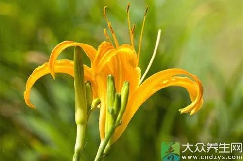 小心了!十种没煮熟蔬菜 比砒霜毒