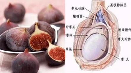 上帝开了一间药房 只卖蔬果不卖药