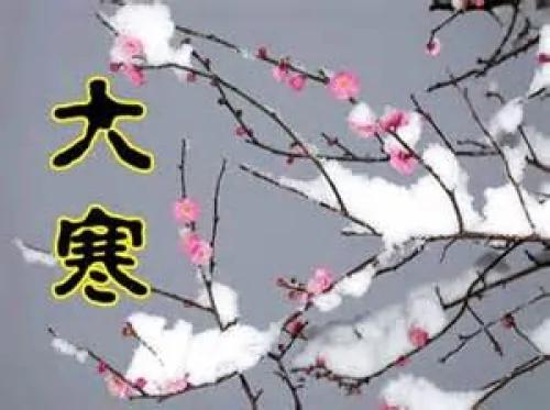 羊肉洋葱可抗寒 冬季必吃四道暖身菜