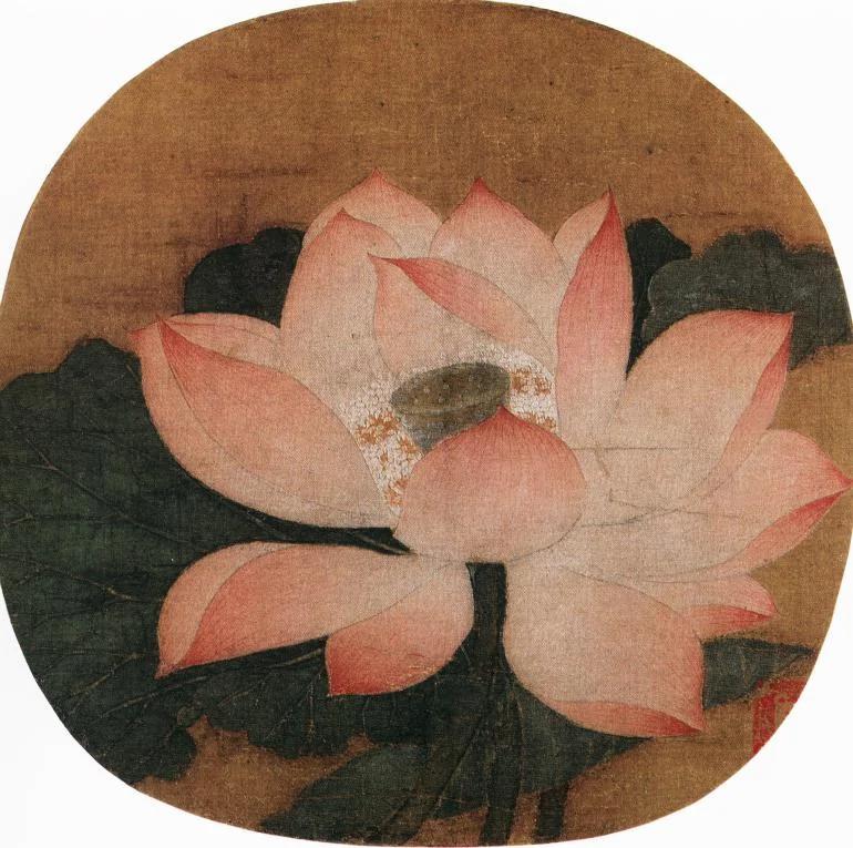 历代名家画荷