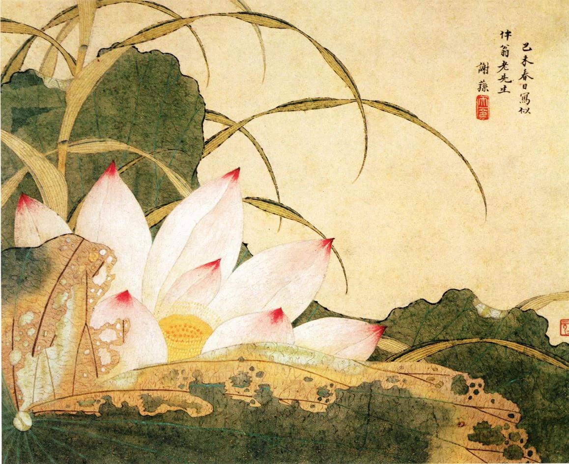 历代名家画荷