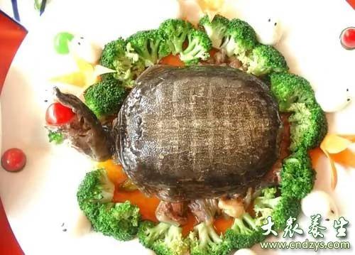 吃完鸡蛋别碰5种食物 小心丧命!!