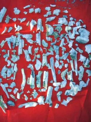人体修炼:老尼火化后留下200颗舍利花