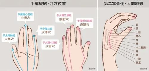 保养五脏六腑!手掌穴位一次搞定