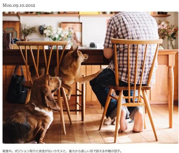 一个很普通的日本家庭 改变了很多人家庭观!