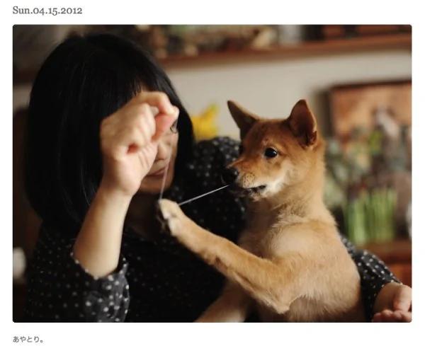 一个很普通的日本家庭 改变了很多人家庭观!