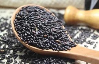 糯米最排毒 各种各样的米都有啥区别?