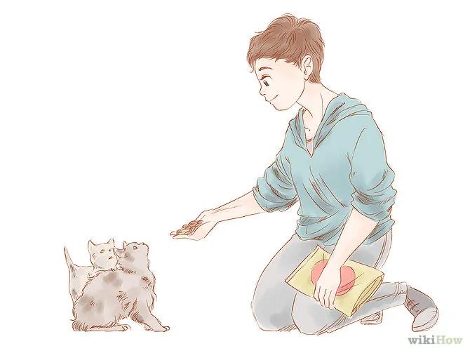 如何变得更美丽(如果你并非天生丽质)