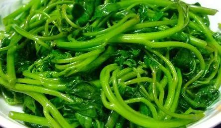 平民食物大翻身! 8种食物蕴藏“大营养”