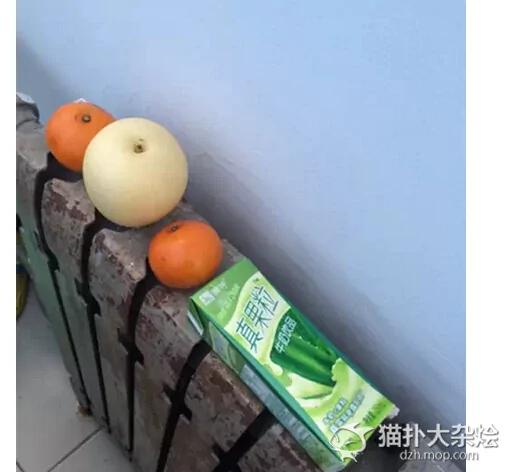 暖气的11个用法 南方人看哭了