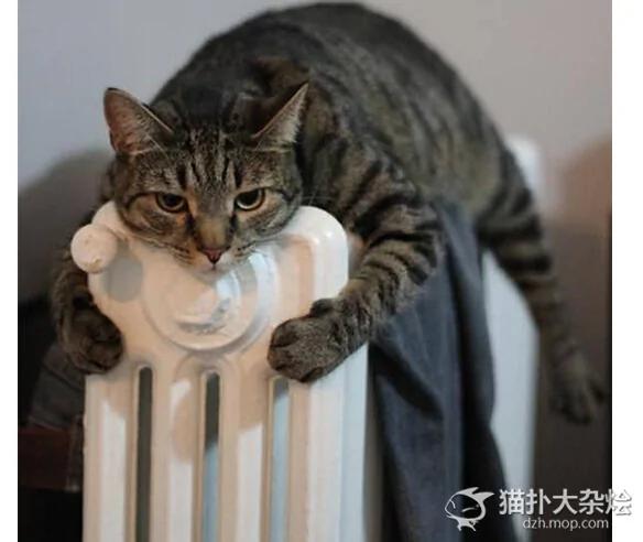 暖气的11个用法 南方人看哭了