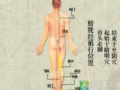 中医经络排毒9诀窍 扫光体内所有毒素