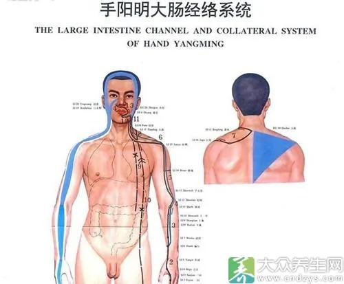 中医经络排毒9诀窍 扫光体内所有毒素