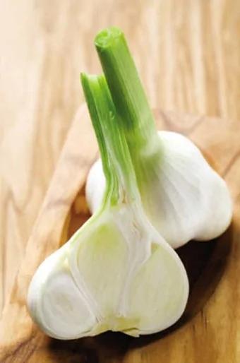 相信吗?发芽的大蒜有你绝对意想不到的神奇功效!