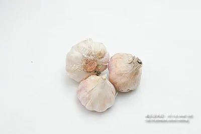 只要三步骤!!搞定食材处理法!!超省时生活小点子