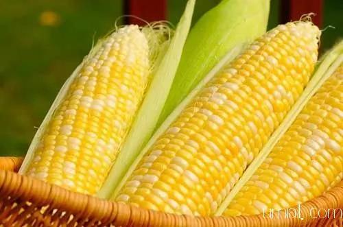 30个你以为卡路里含量不高 但其实很高的食物