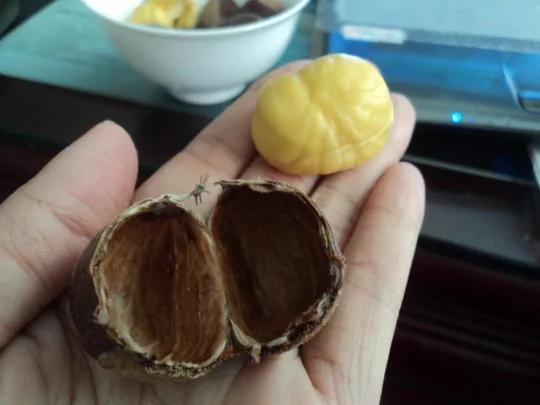 微波炉还可以这样妙用,看完之后才发现自己太小看它了!